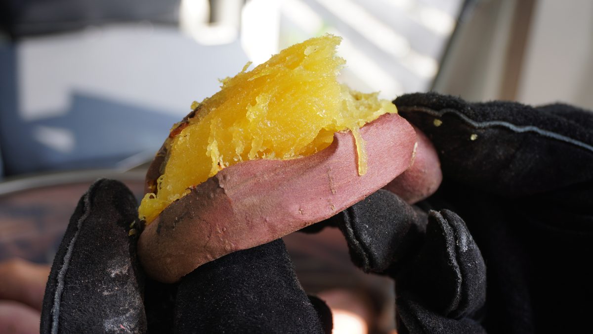 手袋をした手が持つ、割ったばかりの焼き芋の断面