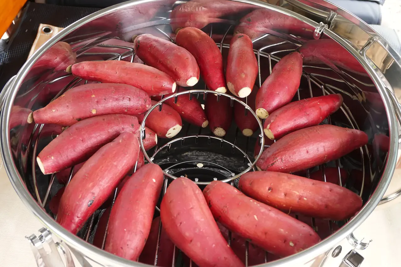新型ステンレス焼き芋機に、生の紅はるかを放射状に並べた様子